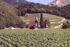 Saanelandfahrt-1998