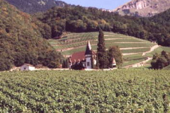 Saanenland-2