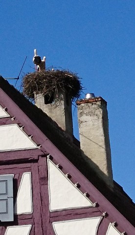 Bild-4_1