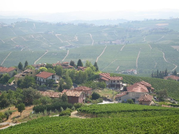 Nähe-Barolo