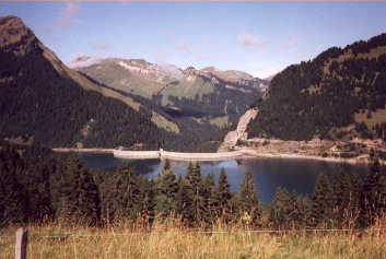 Saanenland-1