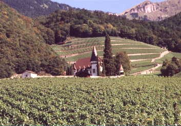 Saanenland-2